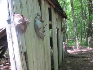 American Chestnut Mission Workers House Pocosin Hollow 160611