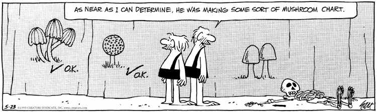 AgaricusBisporus_BC Cartoon