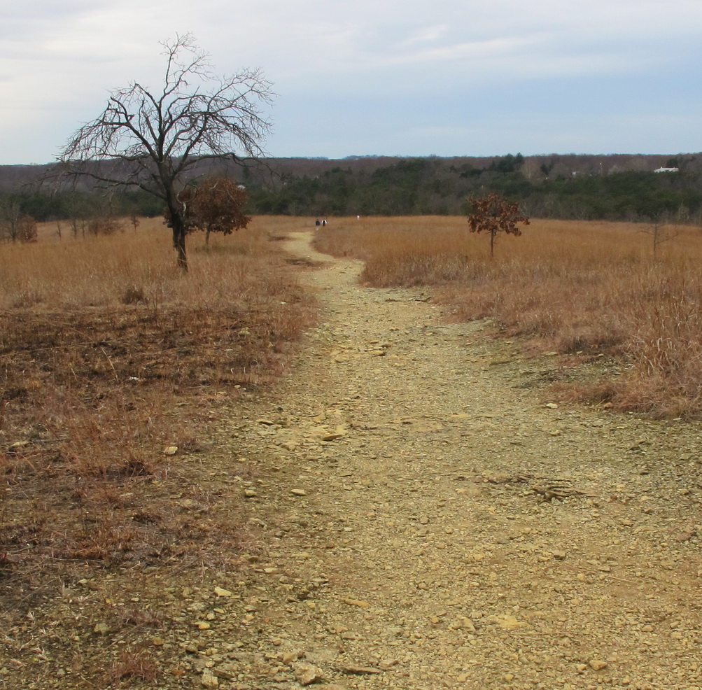 Serpentine Barrens Soldiers Delight 151115