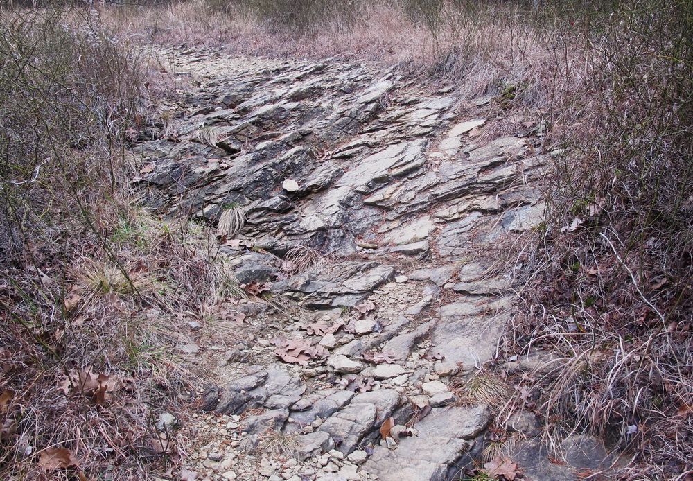 Serpentine Soldiers Delight 151115