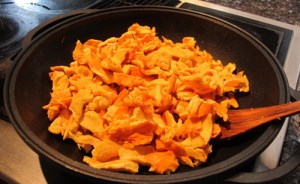 SulfurShelfDinner_Columbia_June2011